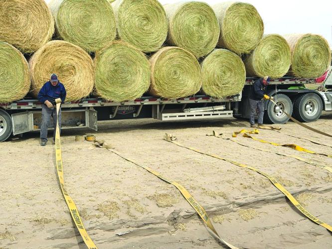 Farm Rescue wildfire relief (2) - worked.jpg