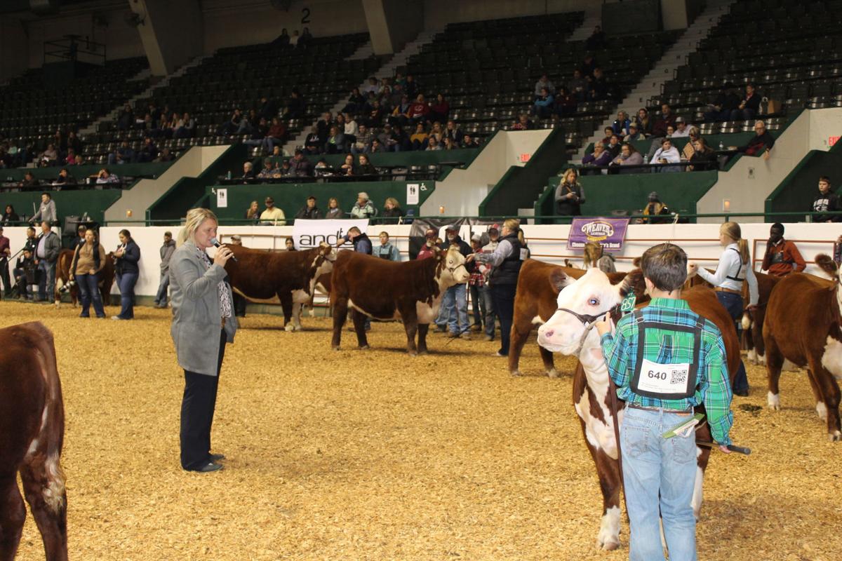 2019 Beef Expo (copy)