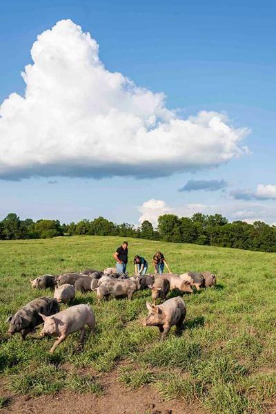 Bill and Brittany Sulliva