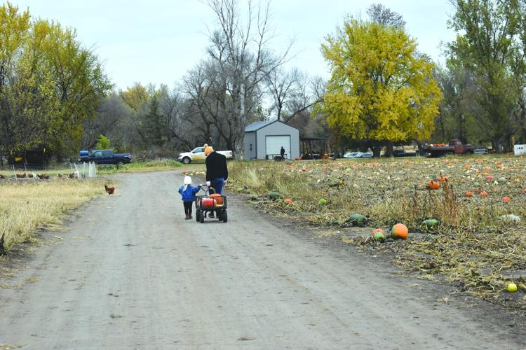 Cherry Rock (4) worked.jpg