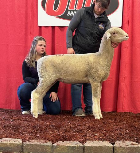 National Ramboulliet Show Regehr.jpg