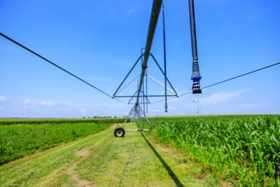 Irrigation
