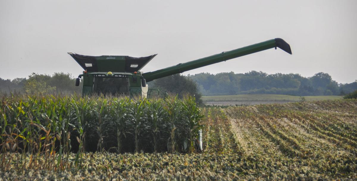 Combine in field