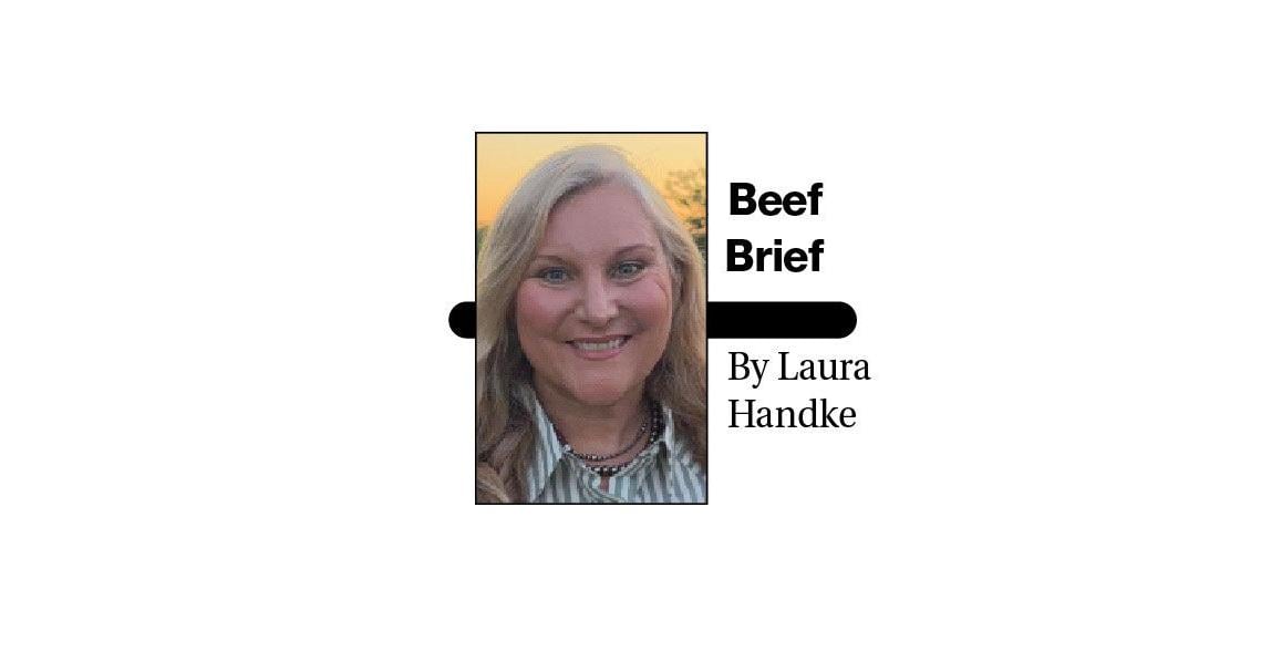 Beef Brief Logo