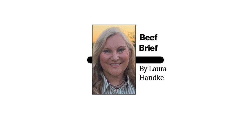 Beef Brief Logo