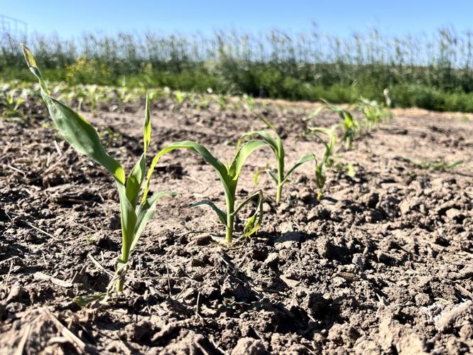 NUSHI June update 2.JPEG