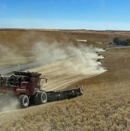 Combine in field