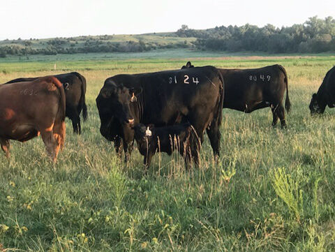 Lonesome River Ranch 3