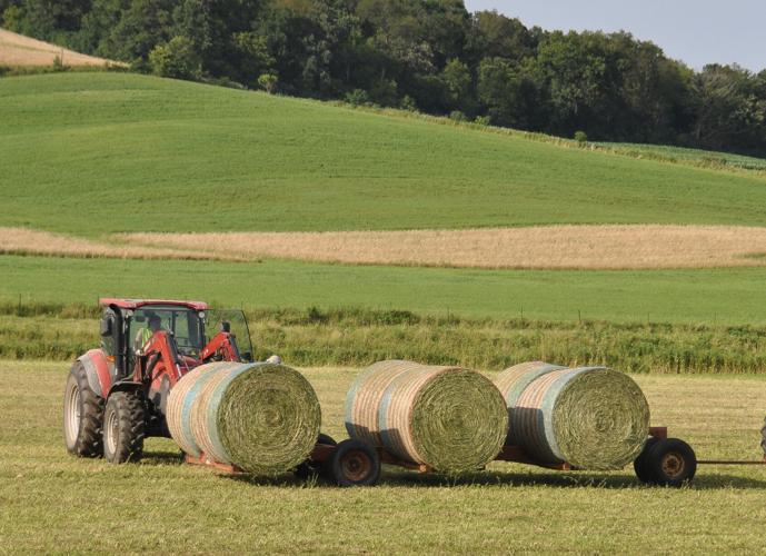 Round hay bales