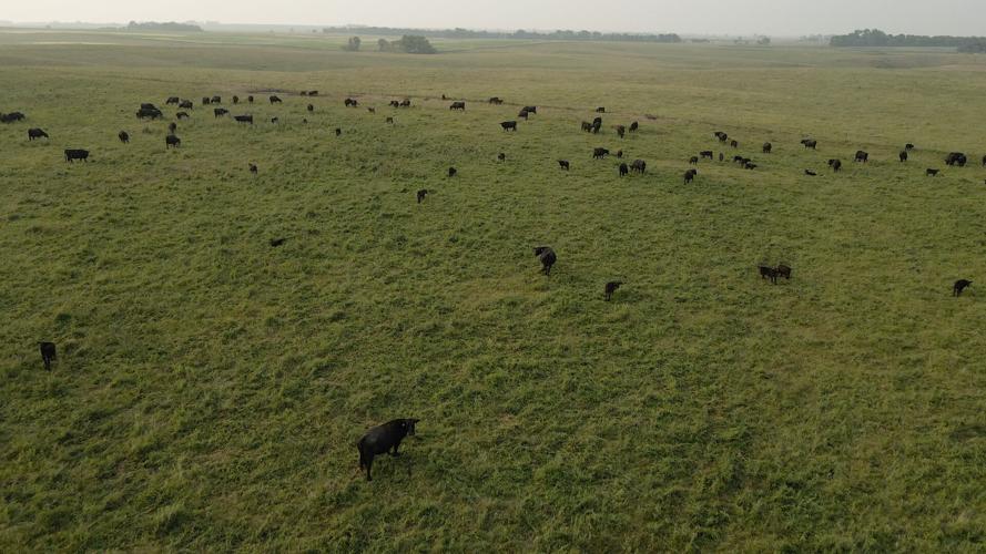 Regenerative next generation 3.jpg