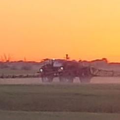 Spraying at sunrise