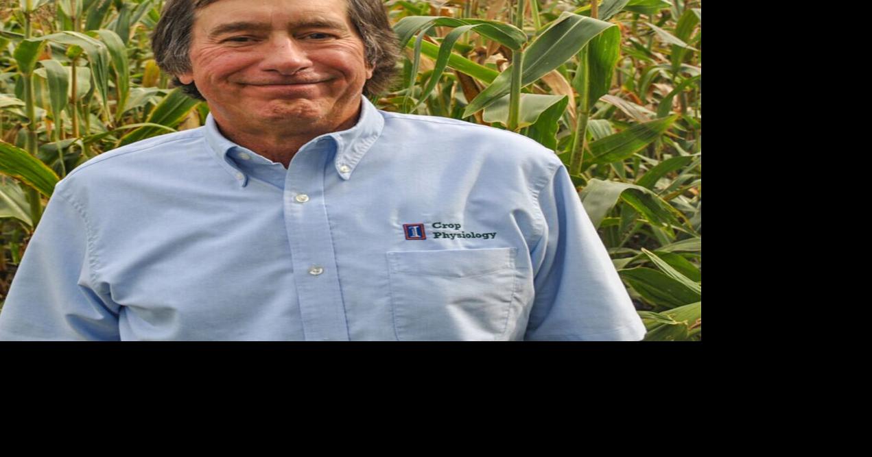 Plant soybeans early, Below says