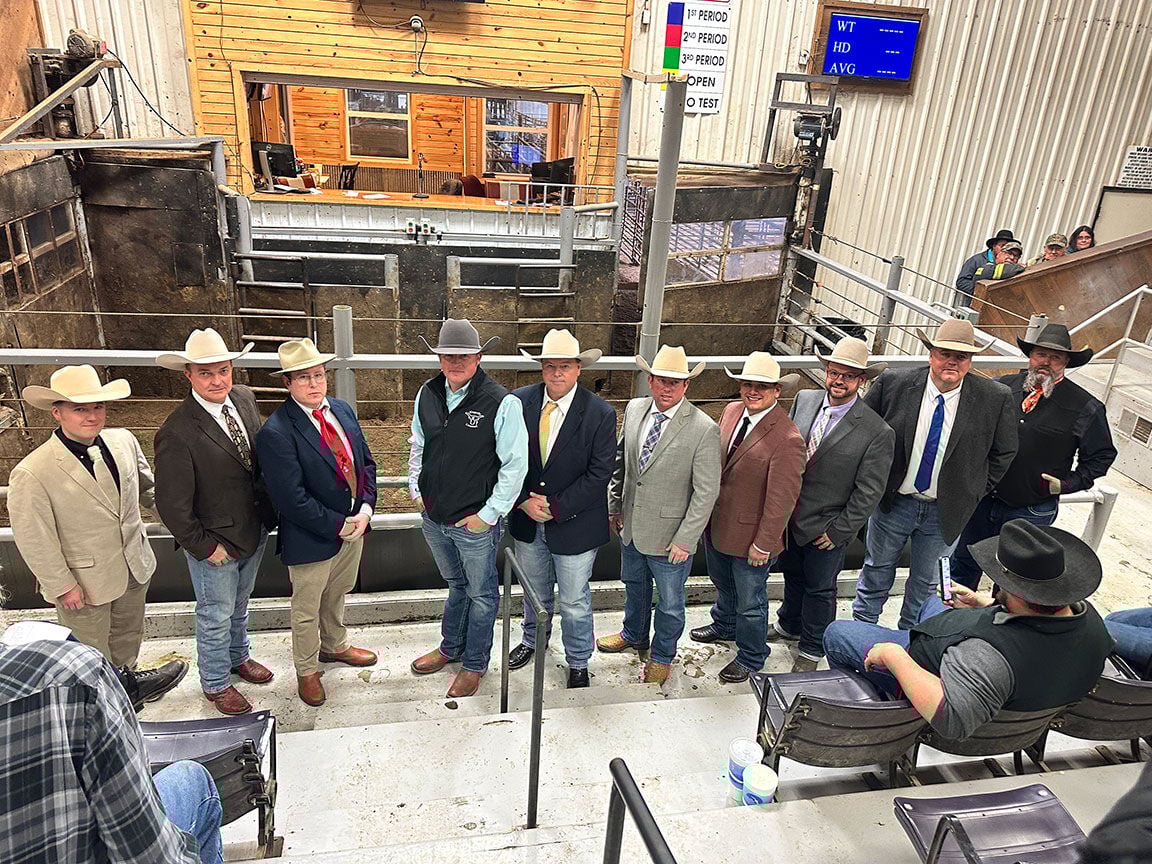 MO auction contest group