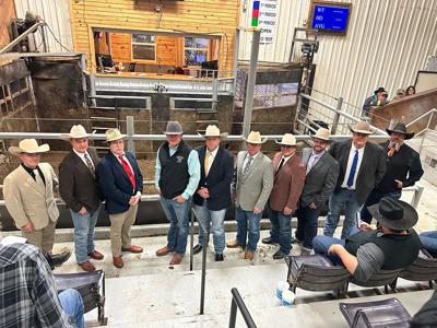 MO auction contest group