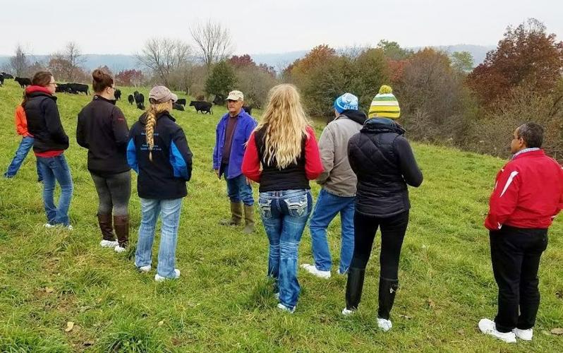 Beef-production class