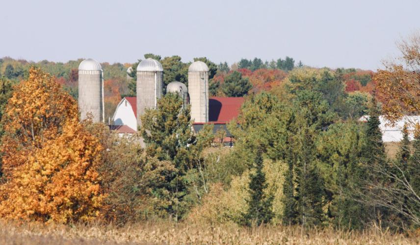 Dairy barn