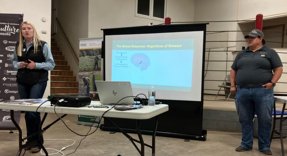 Stress in livestock mirrors human stress