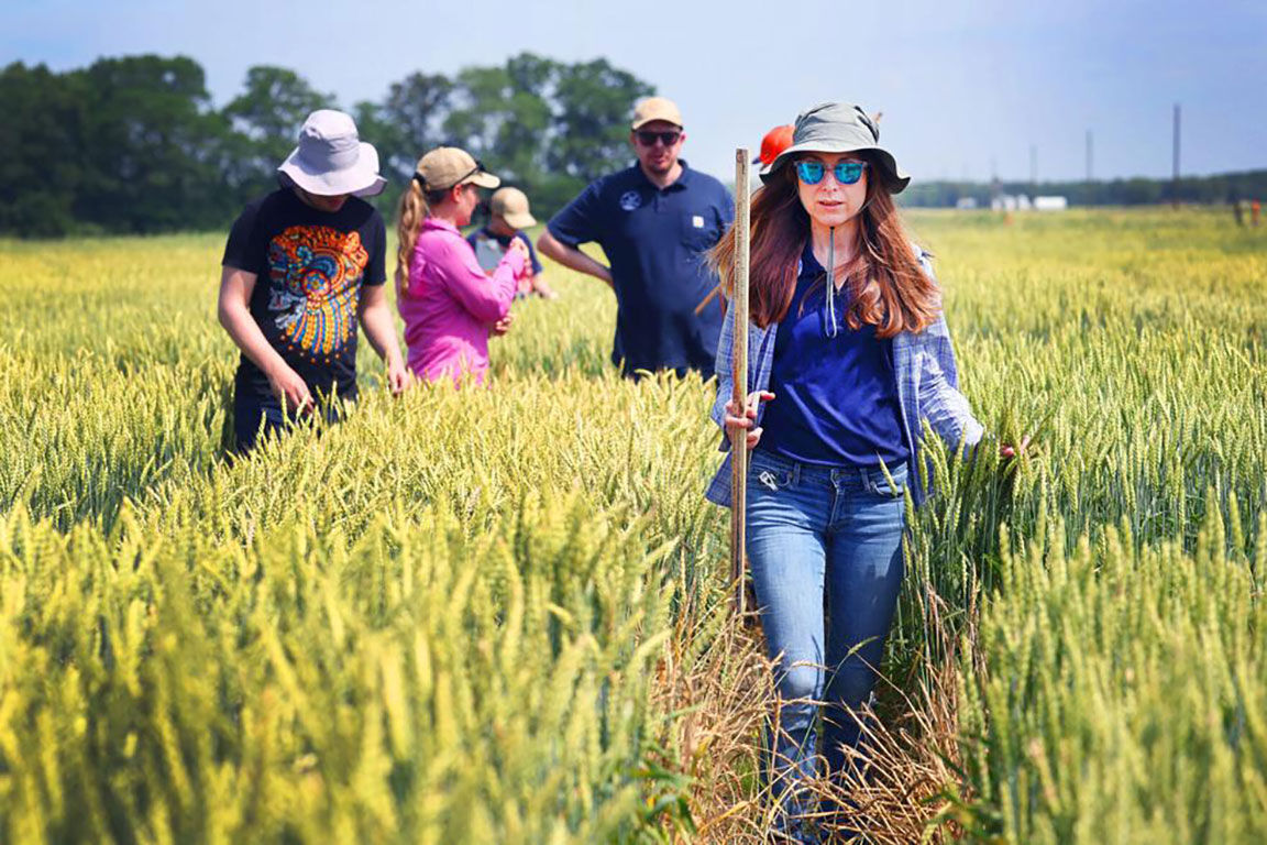 Illinois Wheat Association's Wheat Plot Tour
