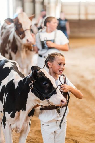 Jefferson County Fair