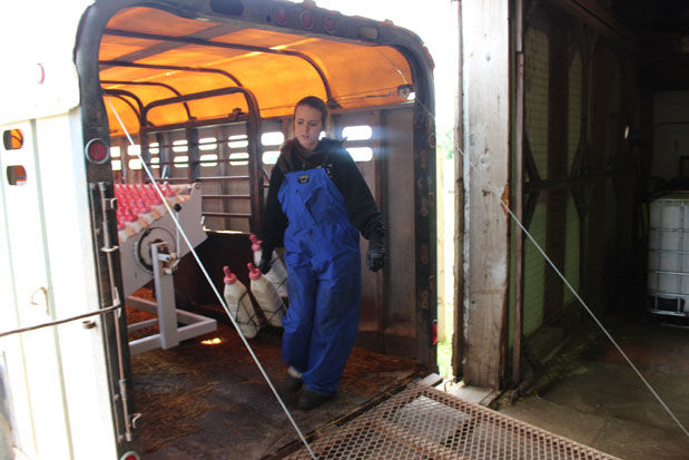 Calf bottles