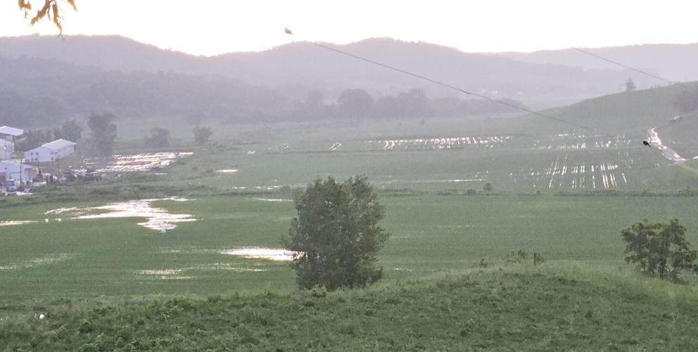 Wet fields
