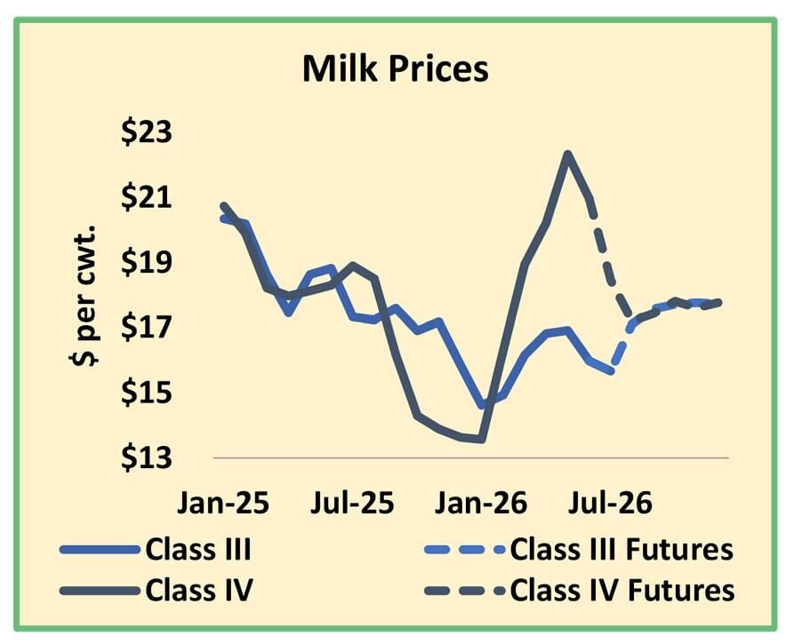 Milk