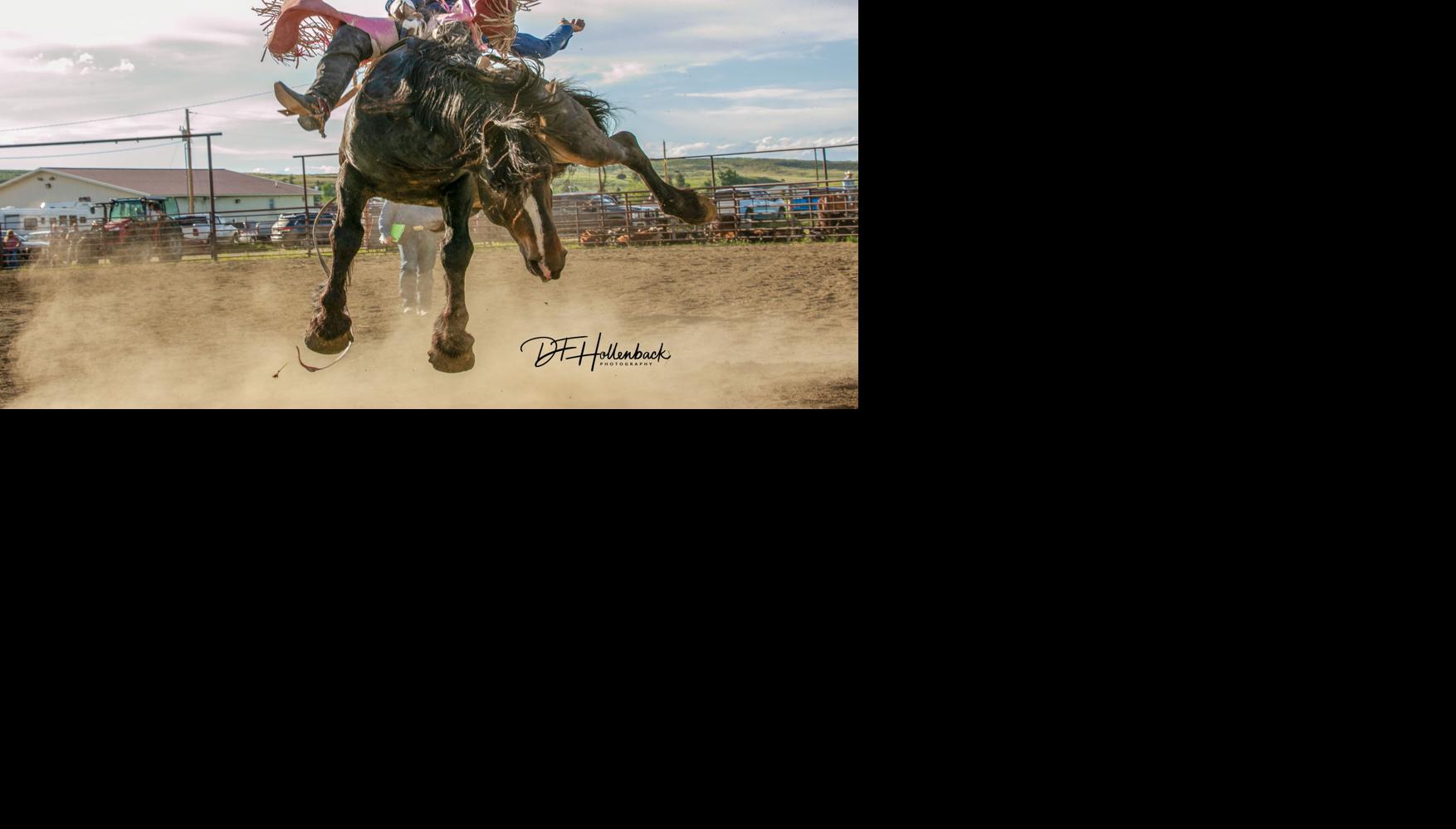 Montana Pro Rodeo Circuit Finals promises the best of the best | Equine