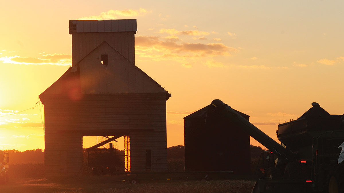 Machine sheds and corn cribs add interest to farm scenes.