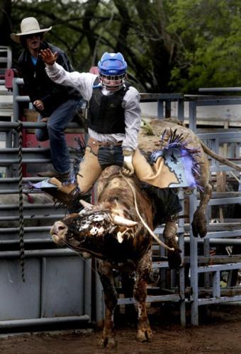 Youth rodeo