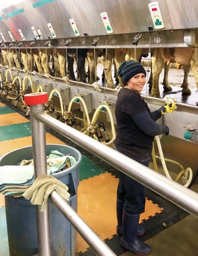 Milker at Fischer-Clark Farm