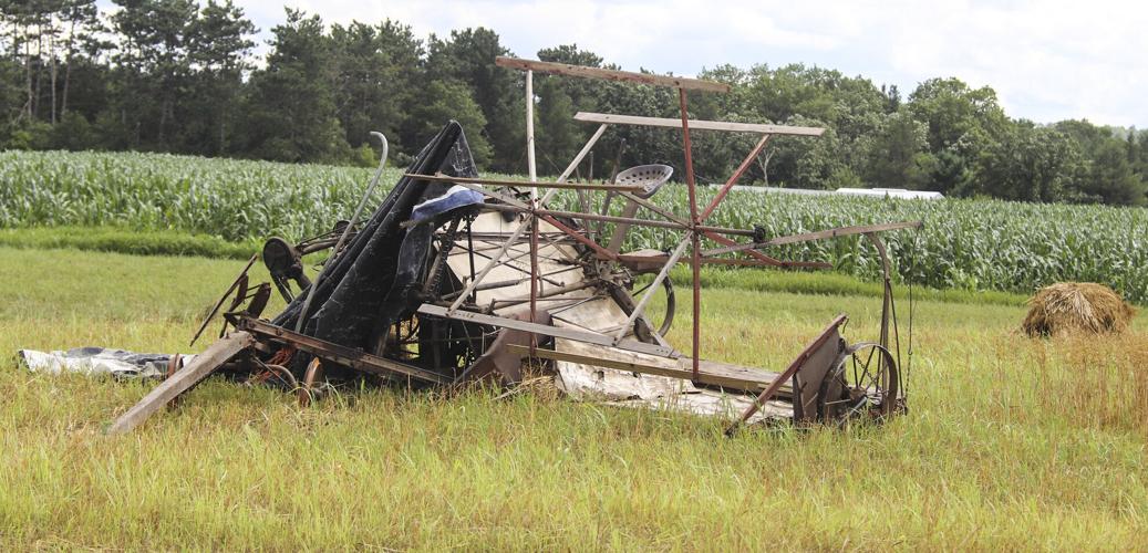 Amish implement in field