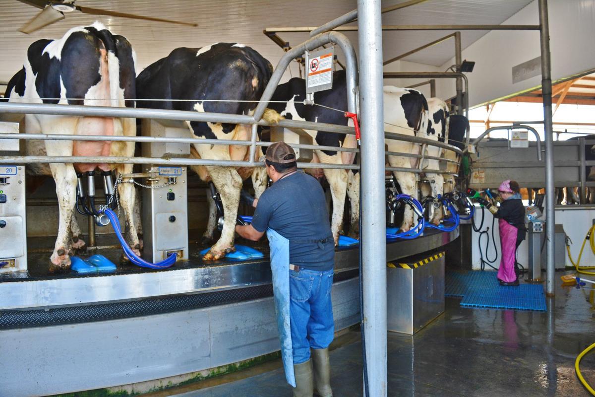 Dairy family plans for future Business