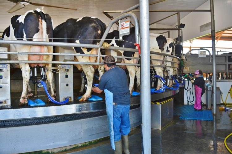 Dairy family plans for future