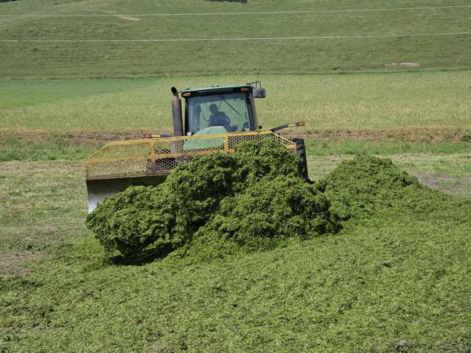 Tractor in field