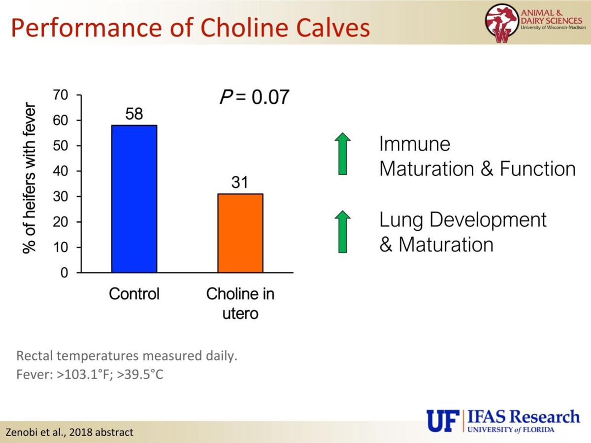 Performance of calves