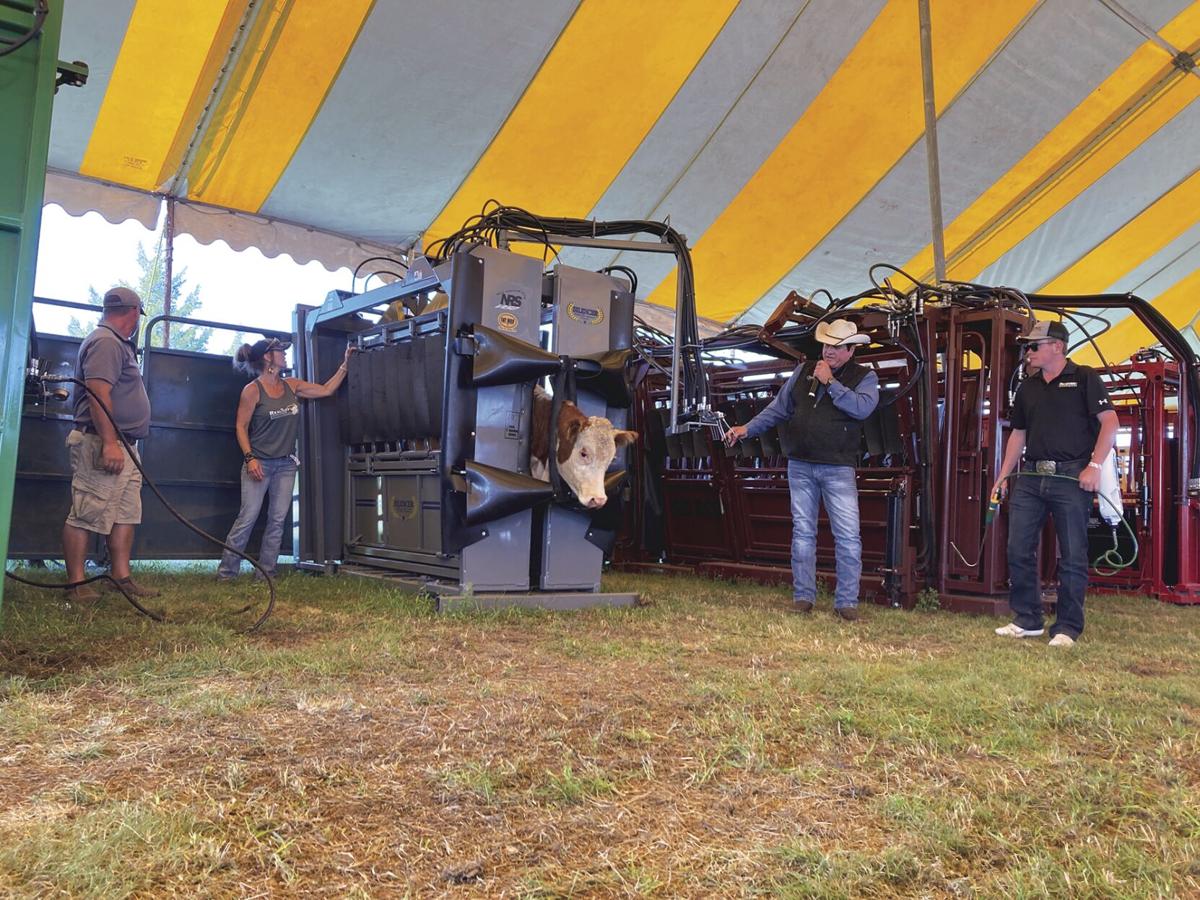 Dakotafest Livestock tent