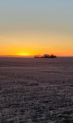 Seeding