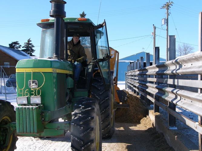 Joe Maass feeds bison