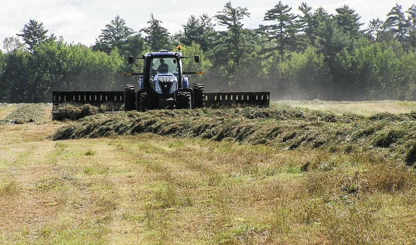 Hay tractor in field rake