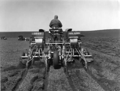 Interseeding pasture history