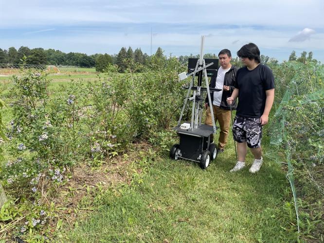 Field imaging blueberries