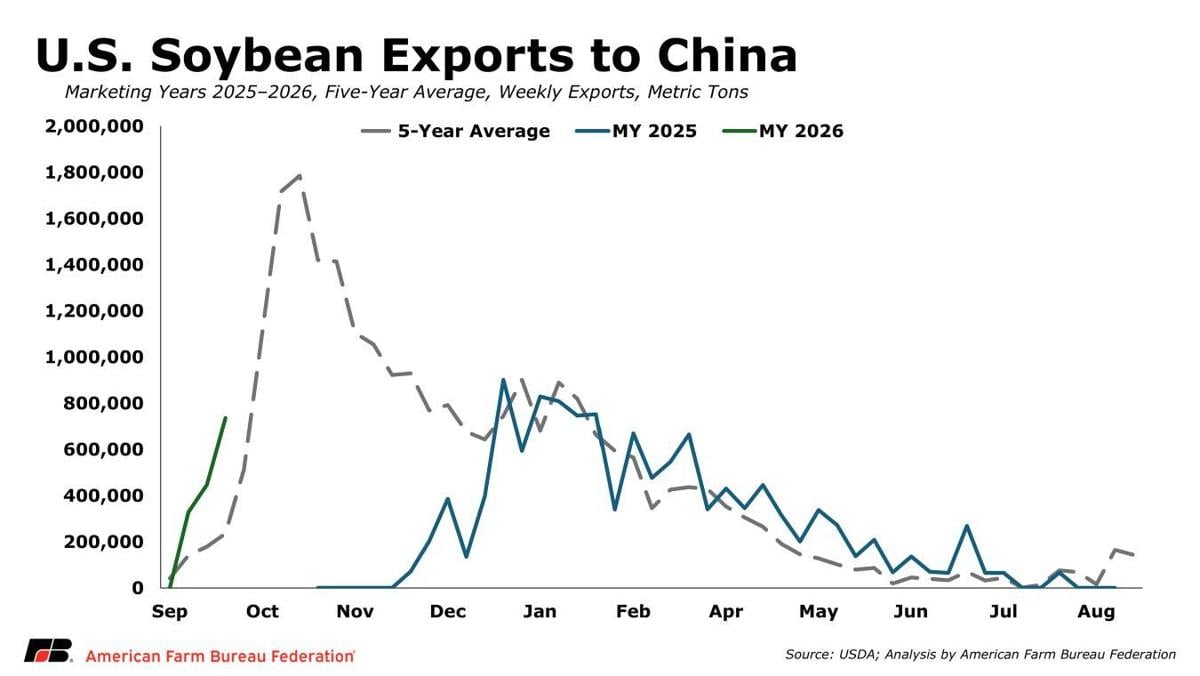 Soybean exports