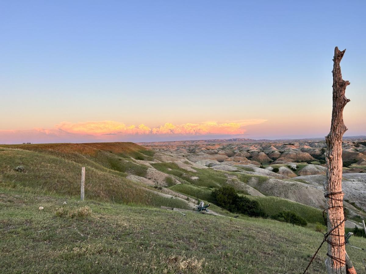 Melisa Column (6).jpg