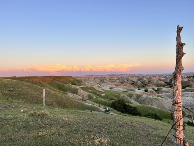 Melisa Column (6).jpg