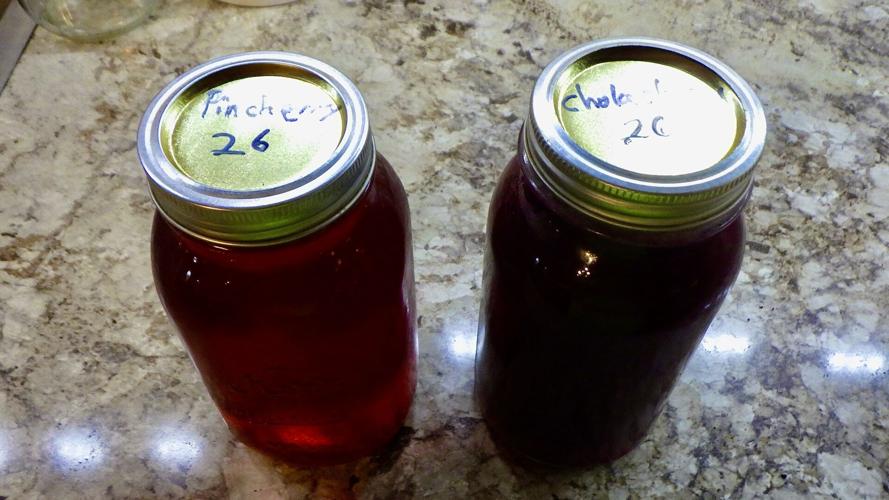 Cherry juice