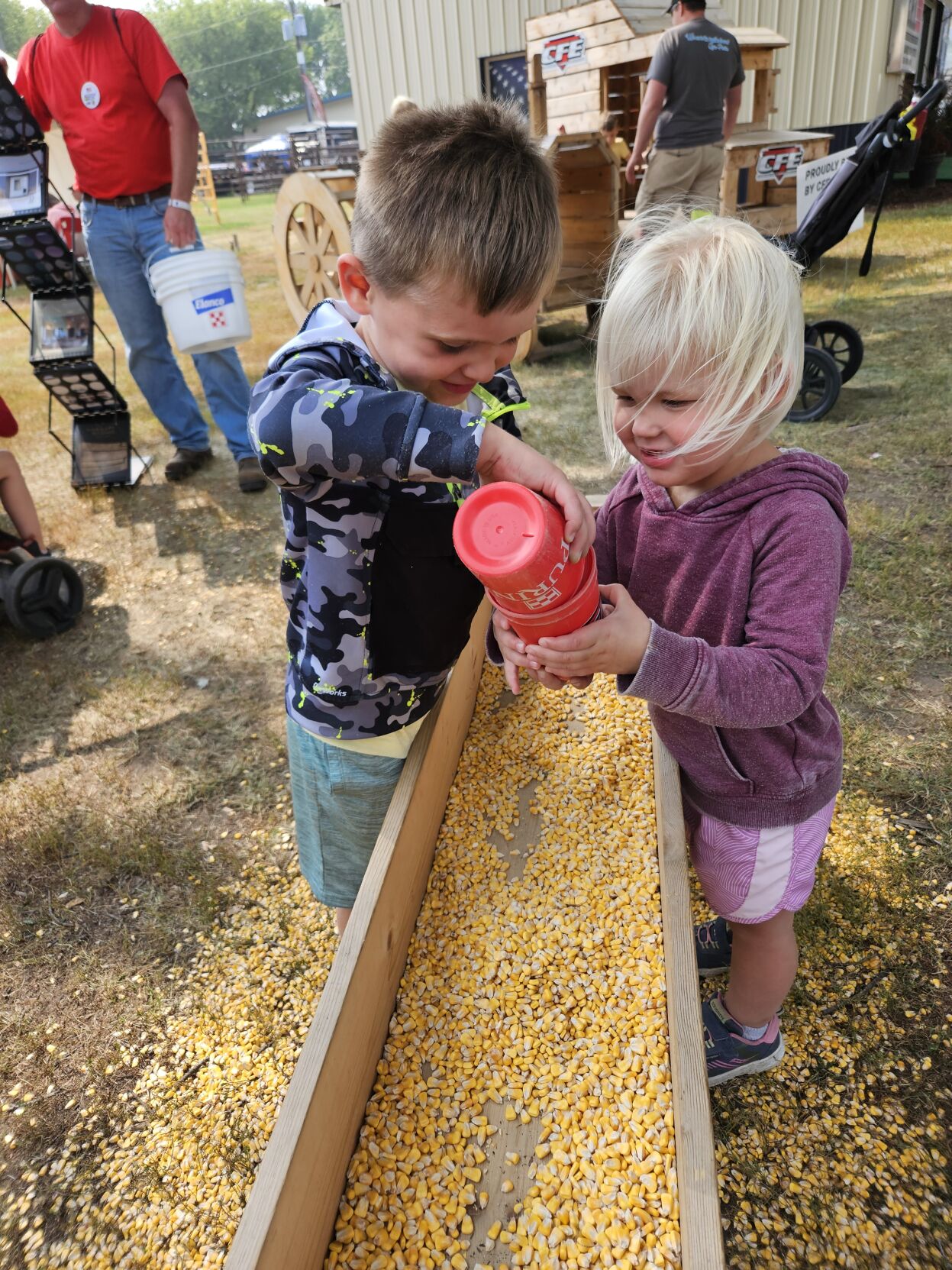 CCF Corn.jpg