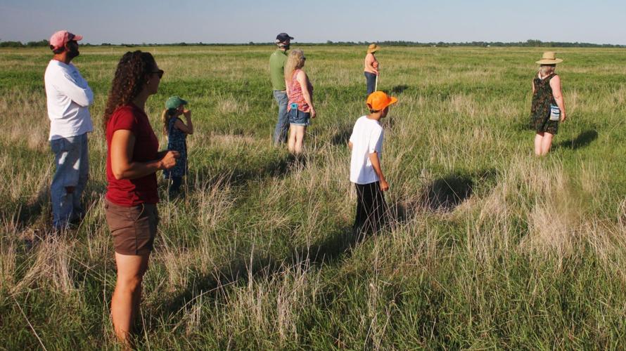 Group walks pasture
