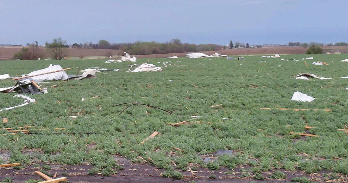 open-field-w-cross-debris.gif