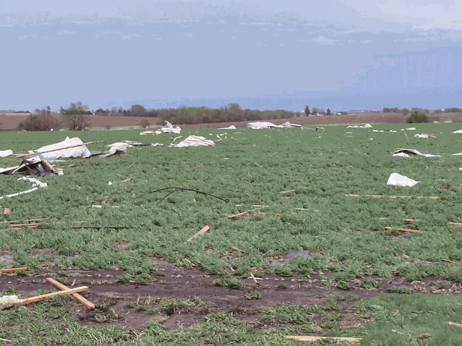 open-field-w-cross-debris.gif