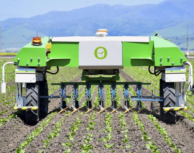 Robot working in vegetable field